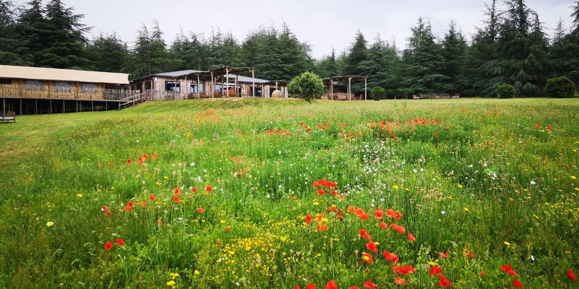 Domaine De La Vitarelle Glamping Villaniere Eksteriør bilde