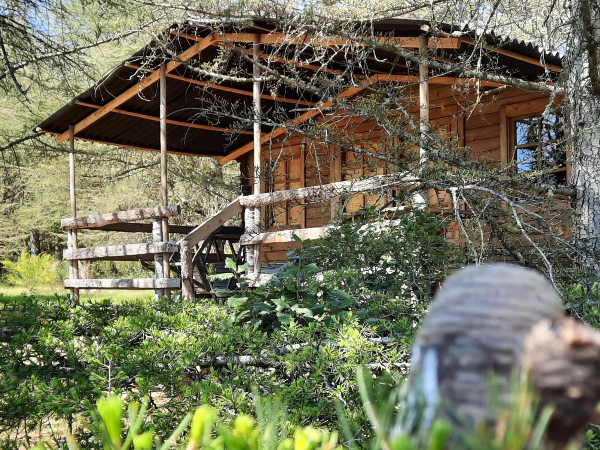 Domaine De La Vitarelle Glamping Villaniere Eksteriør bilde