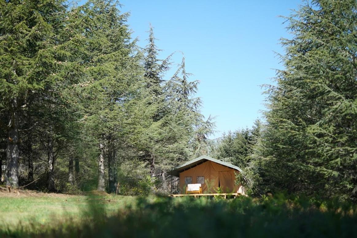 Domaine De La Vitarelle Glamping Villaniere Eksteriør bilde