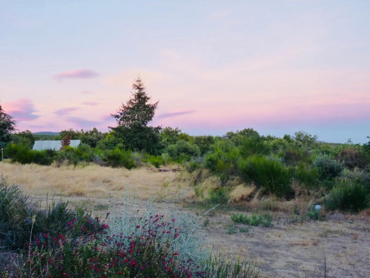 Domaine De La Vitarelle Glamping Villaniere Eksteriør bilde